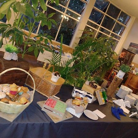 Utopia Hotel Boutique Meksyk Zewnętrze zdjęcie