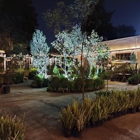 Utopia Hotel Boutique Meksyk Zewnętrze zdjęcie